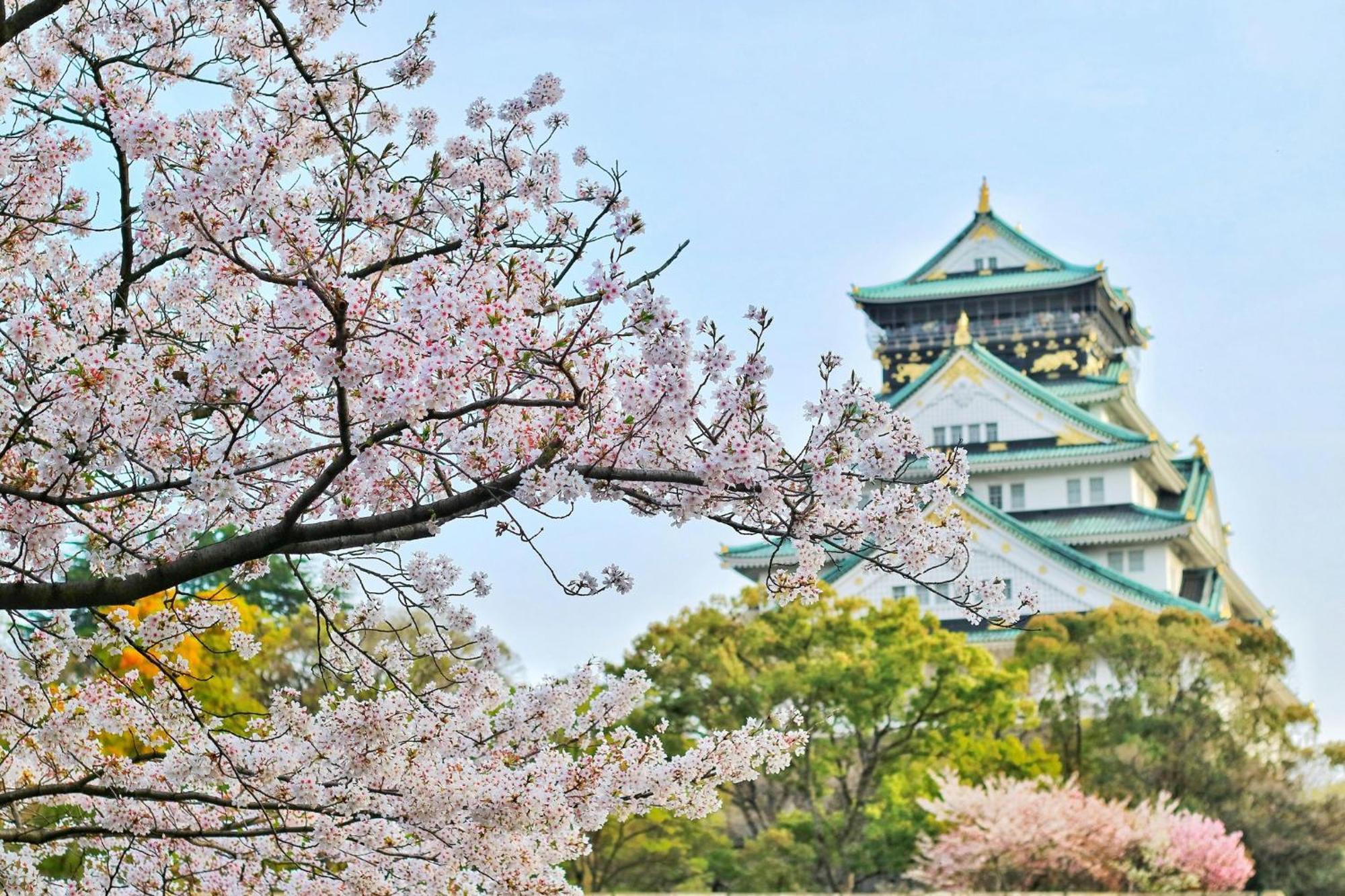 Rihga Royal Hotel Osaka, Vignette Collection By Ihg Exterior foto Osaka Castle